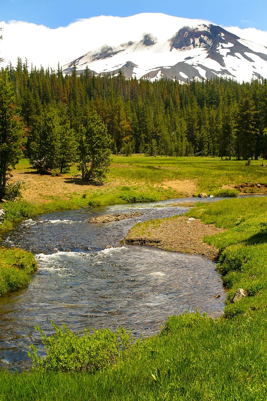 Creek, Trees, Mountains, Meadow, Snow Capped, Snow, Flowing Water, Stream, Forest, Wilderness, Countryside
