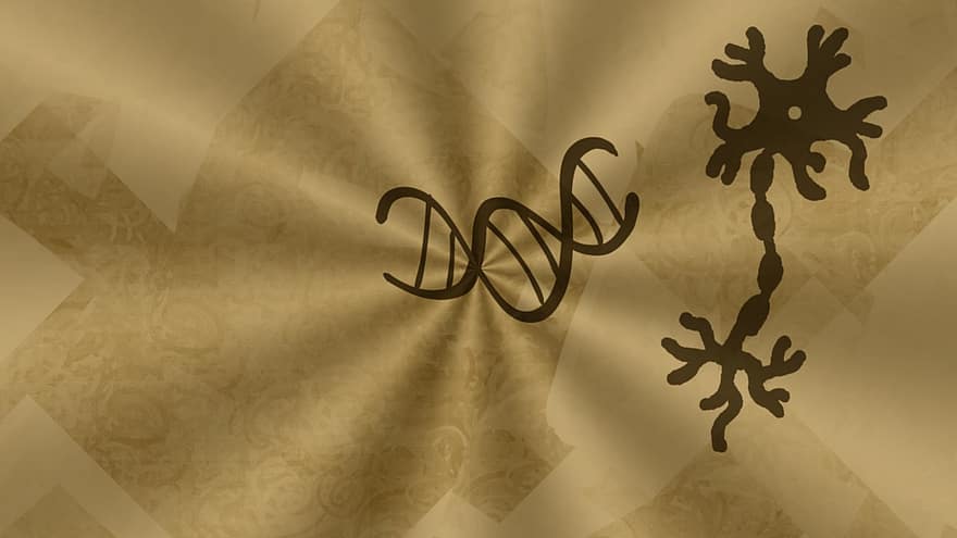 Design, Muster, Biologie, DNA, Genetik