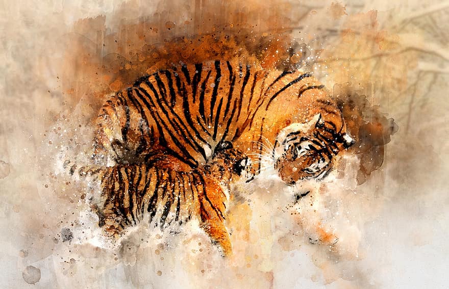 тигър, акварел, животно, див, дивата природа, природа, котка, джунгла, чертеж, кафява котка, кафяв тигър