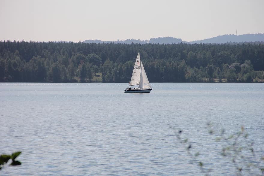 Lake, Boat, Sailboat, Water, Summer, Nature, Landscape, sailing, yacht, nautical vessel, sail