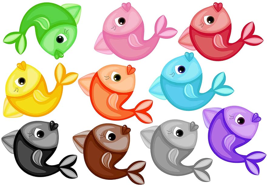 노란 물고기, 갈색 물고기, 푸른 물고기, 녹색 물고기, 분홍빛 물고기, 흰살 생선, 검은 물고기, 회색 물고기, 오렌지 물고기, 자주색 물고기, 붉은 물고기