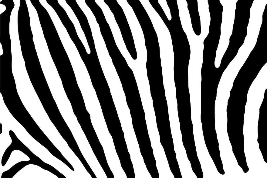 zebra, hud, mønster, striber