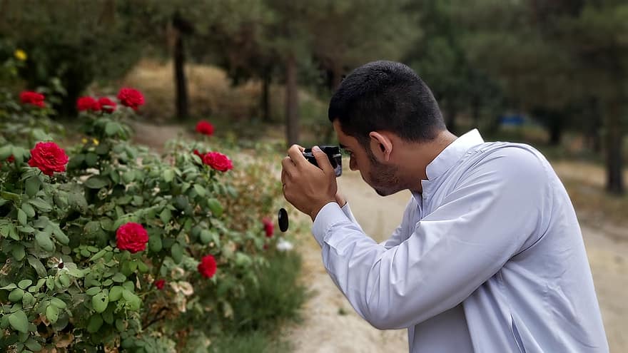 Flowers, Man, Camera, Photographer, Equipment, Kabul, Afghanistan, Nature, Photography, Photographs, Calm