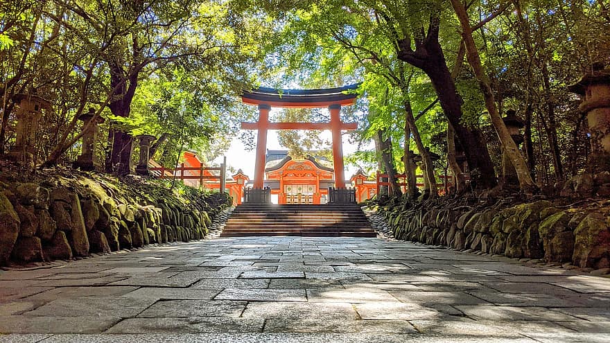 torii, sintó, ereklyetartó, Usa Jingu, pálya, járda, fák, bejárat, oita prefektúra, tájkép, építészet