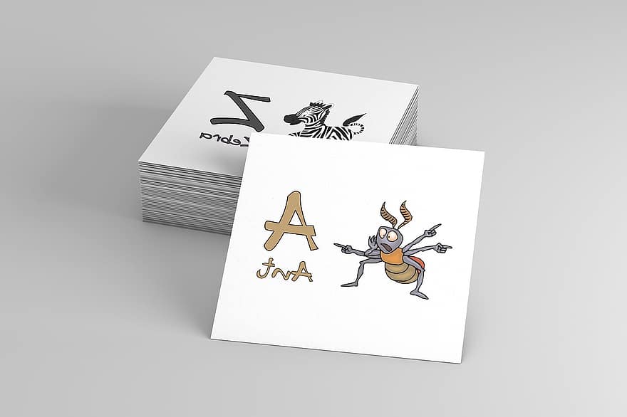 Cards, Study, Educational, Learning Cards, School, Training, Knowledge, Animals, insect, bee, education