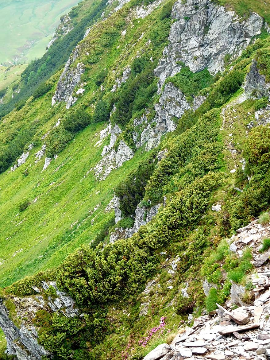 montagne, camper, cielo, nuvole, panorama, erba, panoramico, viaggio, escursione in montagna, vista, Romania