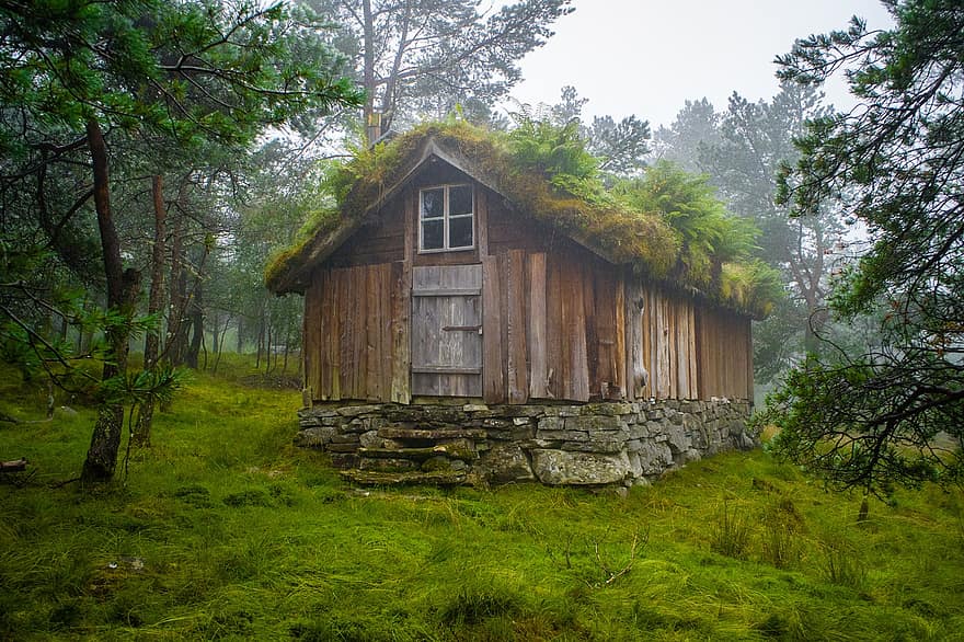 casa de fusta, bosc, cabina, casa de camp, casa, fusta, naturalesa, rural, edifici, refugi, paisatge