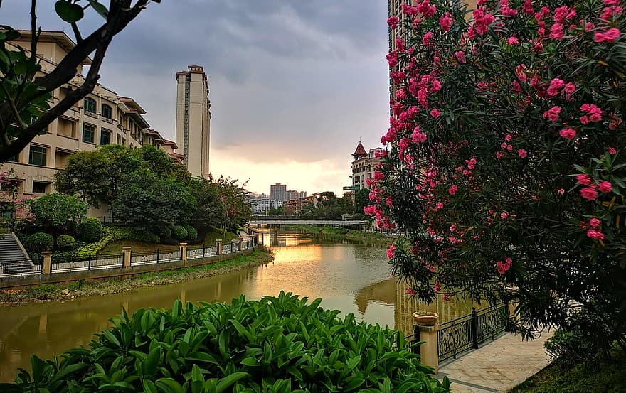 río, ciudad, puesta de sol, las flores, árbol, parque, tarde, edificios