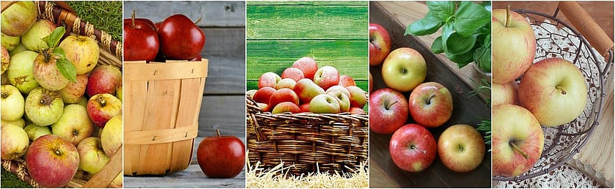 appel, appels, fruit, dieet, gewichtsverlies, groen, voedsel collage, voedsel, gezond, biologisch, aan het eten