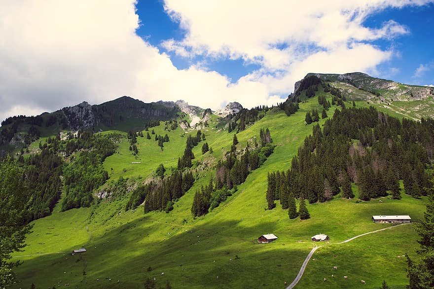 pegunungan Alpen, gunung, padang rumput, pertanian alpine, pemandangan, awan, cerah, rumput, warna hijau, musim panas, pemandangan pedesaan
