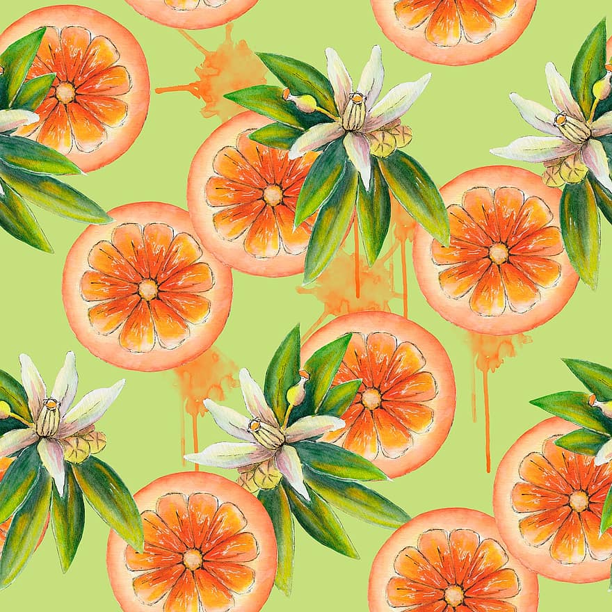 naranja, frutas, agrios, rodajas de fruta, rodajas de naranja, Art º, acuarela, dibujo, papel pintado, Fruta, antecedentes