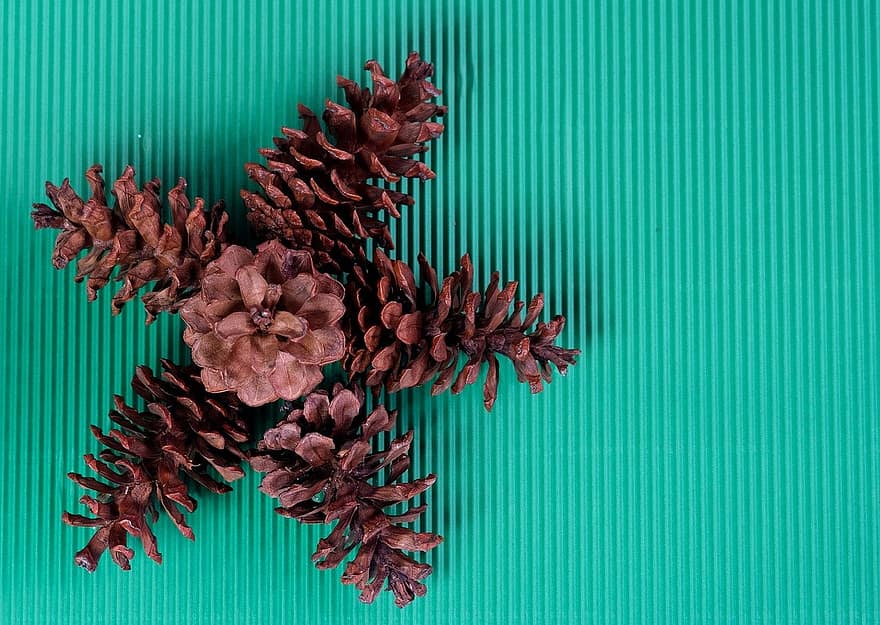 Pine Cone, Background, Decoration, Seasonal