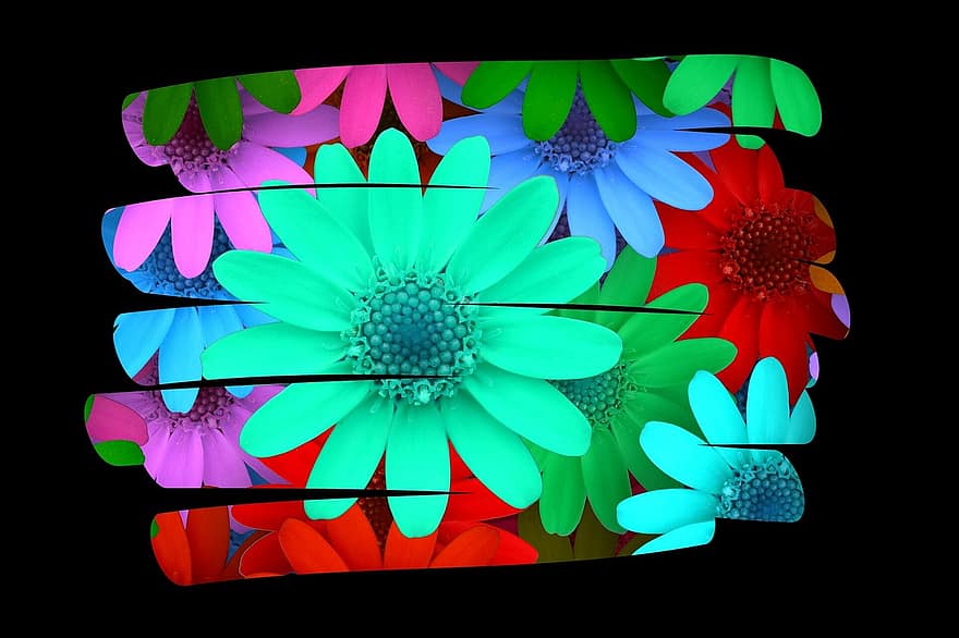 achtergrond afbeelding, bloem