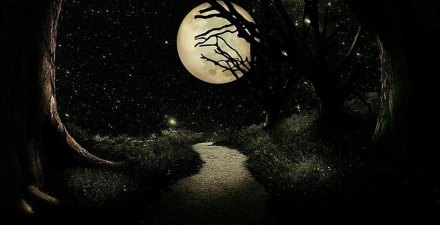 fantāzija, mēness, koki, zvaigznes, naktī, ceļš, zāli, mistisks, pilnmēness, atmosfērā, zvaigžņotas debesis