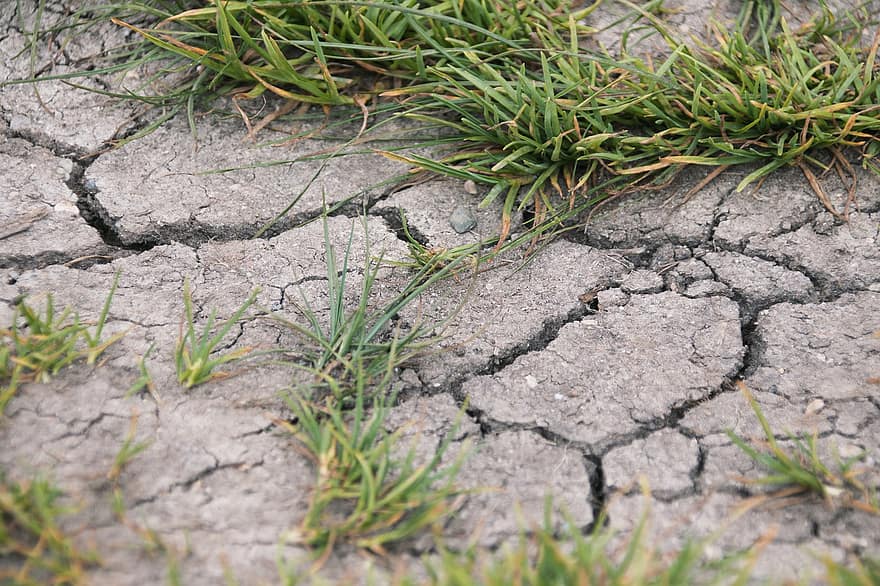 sausra, įtrūkimų, žemės, dehidratuotas, dirvožemio, žolė, pobūdį