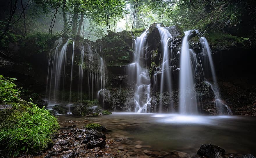 landskap, ett litet vattenfall, bokskog, dimma, växt, vattenflöde, mossa, sten, hyogo prefektur
