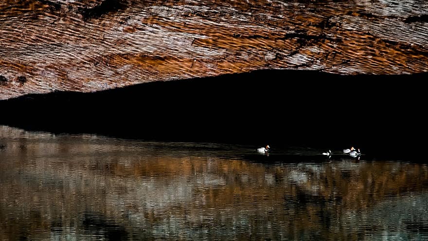 Utah, Water, Wall, Rock, Reflection, Red, Sandstone, Nature, Ducks, Cave