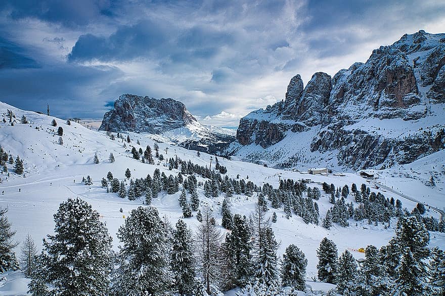 Trees, Forest, Woods, Snow, Dolomites, Sella