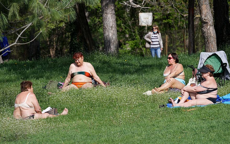 dones, prendre el sol, herba, parc, arbres, estiu, grup de persones, somrient, diversió, homes, assegut