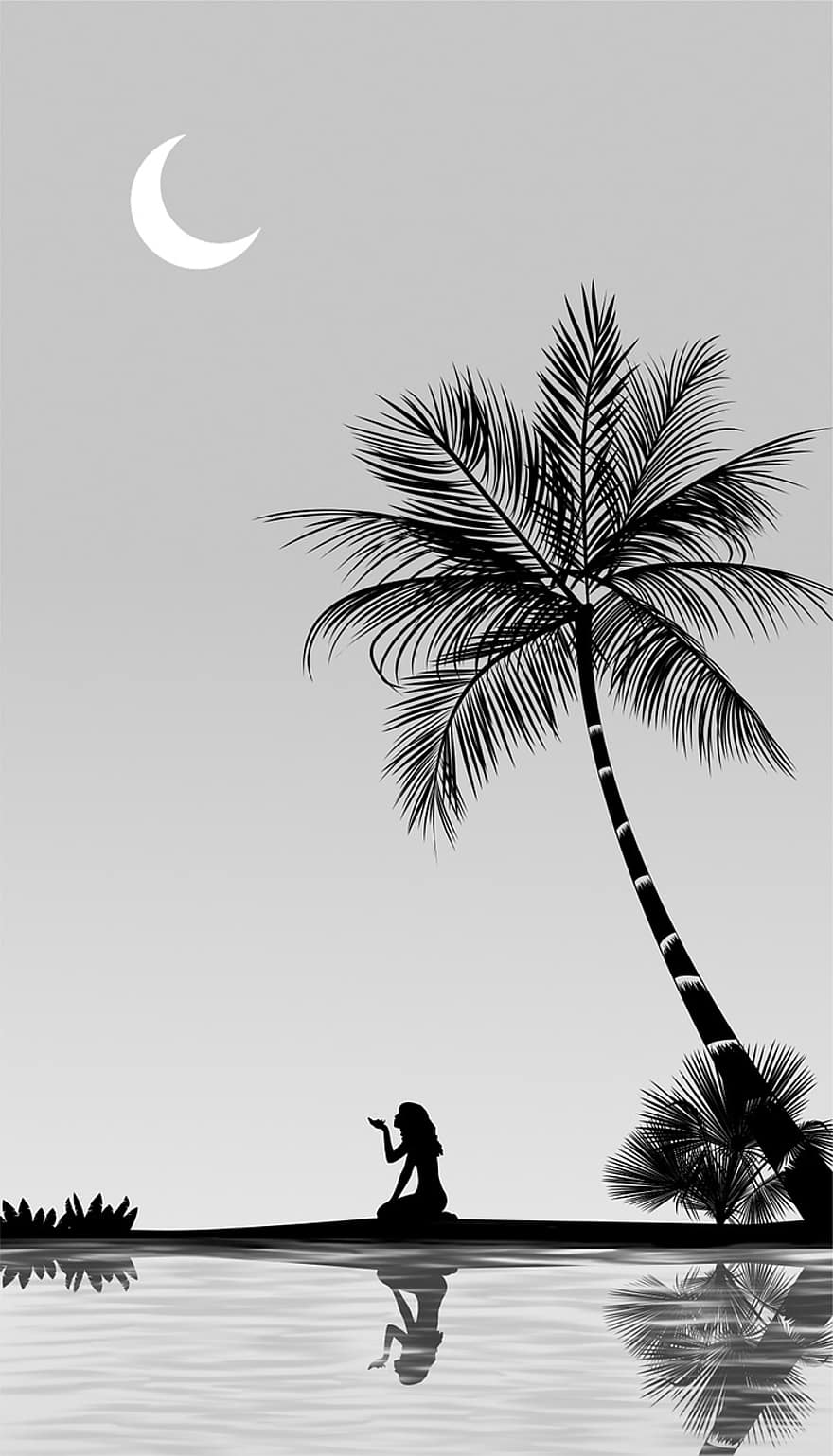 palmen, vrouw, maan, reflectie, water, landschap, natuur, silhouet, eiland