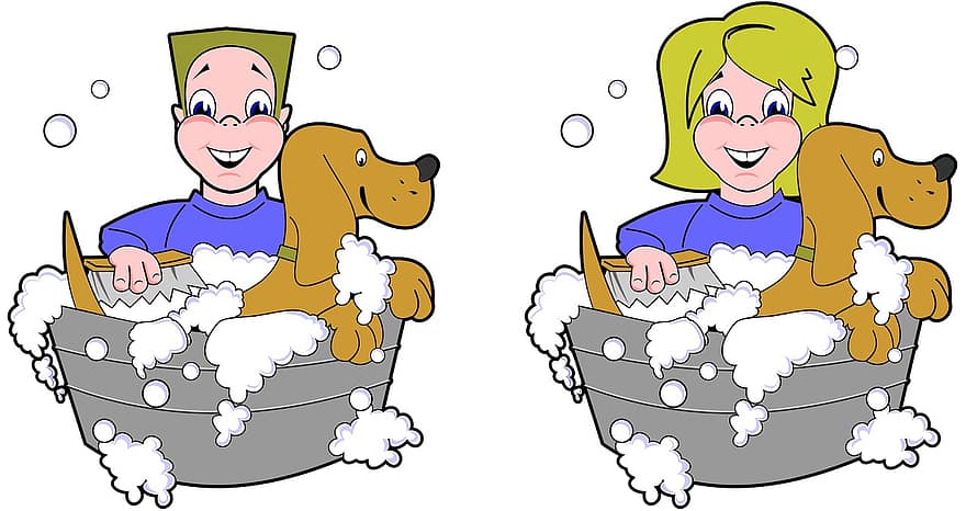šuo, plauti, vonia, išraiška, berniukas, Patinas, švarus, Moteris, šypsena, šveitimas, jaunimas