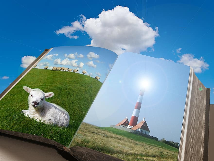 książka, trawa, niebo, owieczka, latarnia morska, światło, motyw wielkanocny, Wielkanoc, owca, stron, łąka
