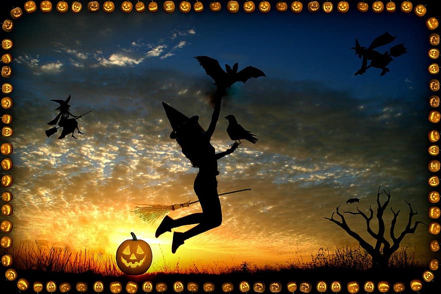 halloween, czarownica, zamiatać, dynia, liliowy, czarnuch, lot, zachód słońca