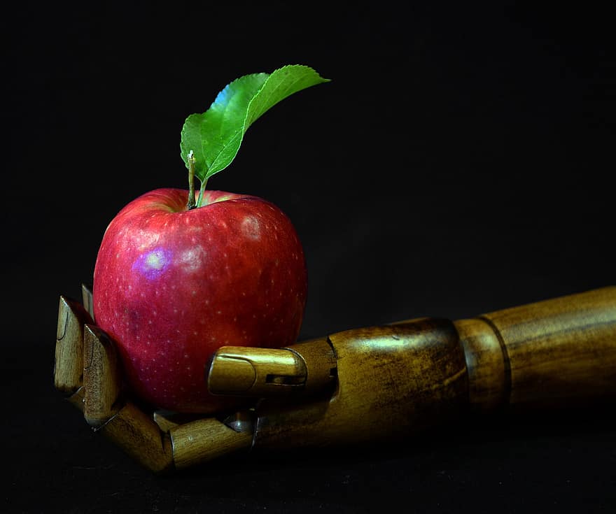 jabłko, owoc, dłoń, czerwone jabłko, organiczny, pyszne, jedzenie, zdrowy, robot
