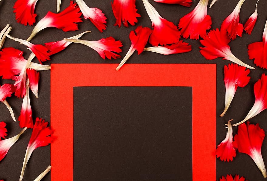 cuadro, las flores, marco floral, copia espacio, maqueta floral, composición floral, plano, tarjeta de felicitación, marco rojo