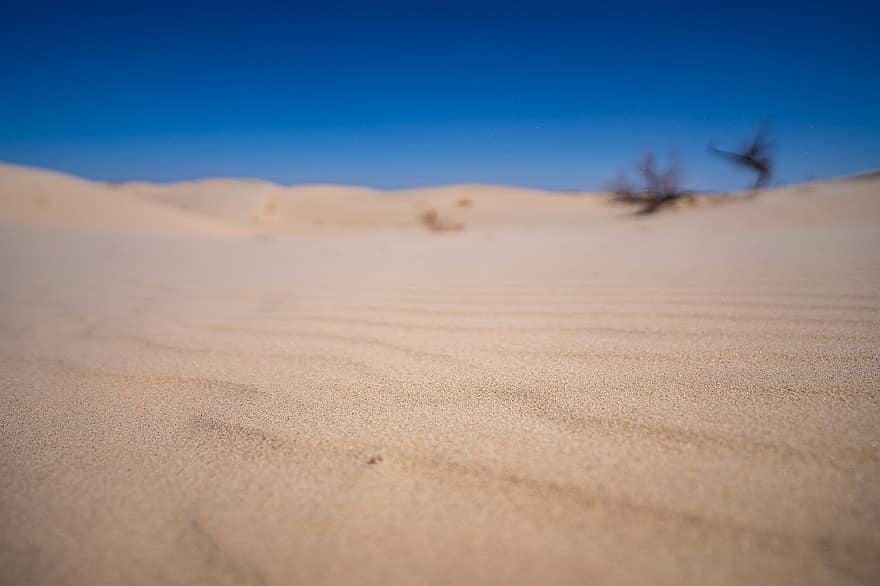 zand, duinen, woestijn, natuur, landschap, Texas, zandduin, droog, blauw, droog klimaat, zomer