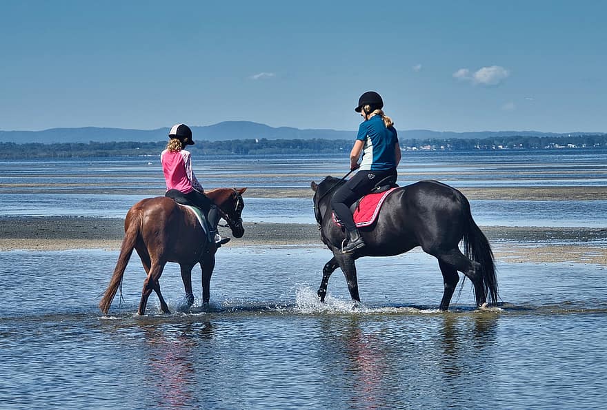 Horses, Riders, Beach, Sand, Horseback Riding, Equestrian, Woman, Girl, Equines, Animals, Equestriennes