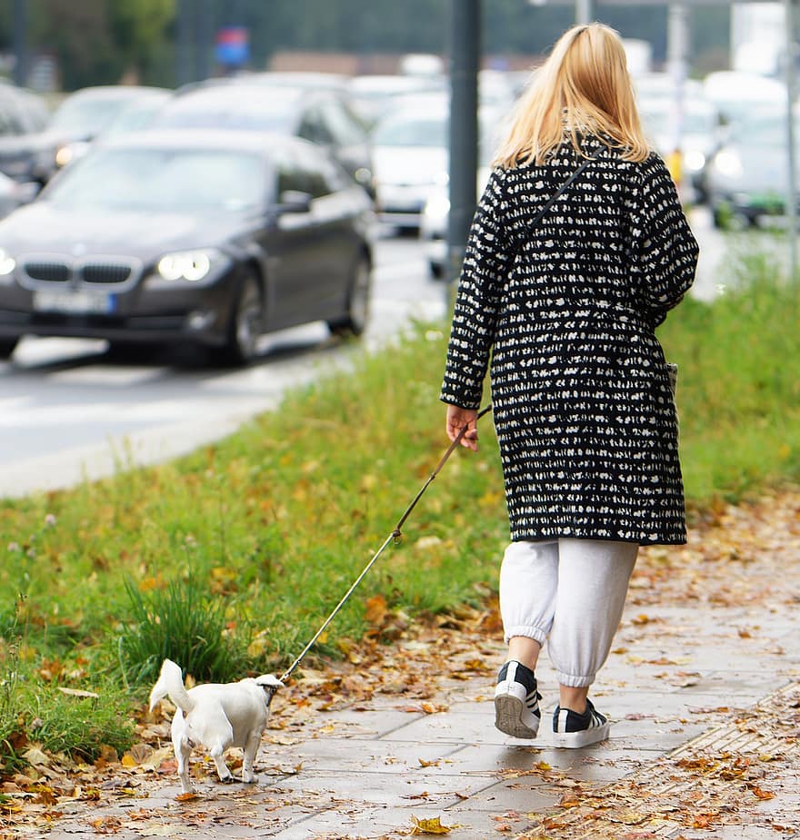 mulher, cão, calçada, animal, caminhando, rua, ao ar livre, urbano, cidade, carros