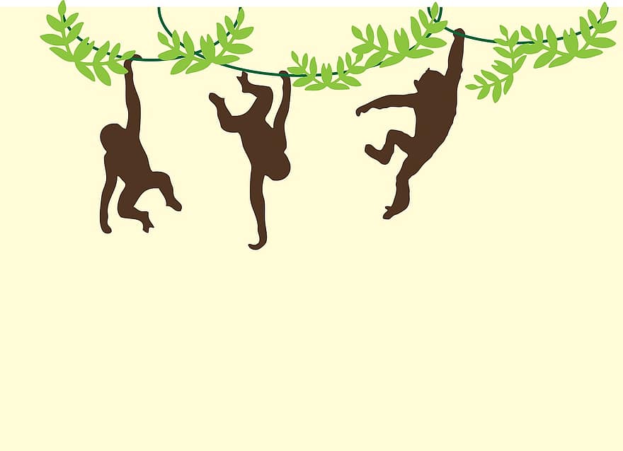 apor, svängande, hängande, vinstockar, djur-, vilda djur och växter, söt, däggdjur, primat, tecknad serie, ritning