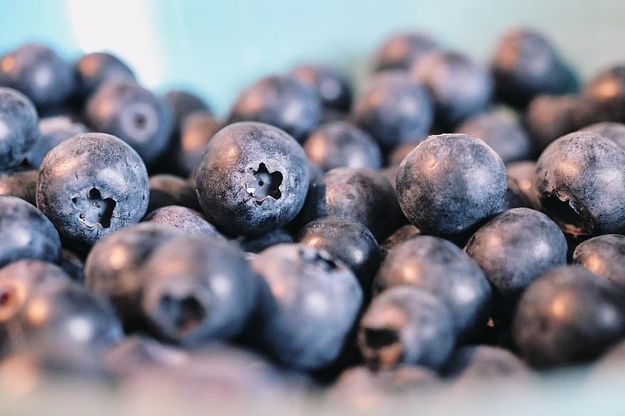 Blueberries, Berries, Fruit, Healthy, Nutrition, Fresh, Dessert, Vitamins, Ripe