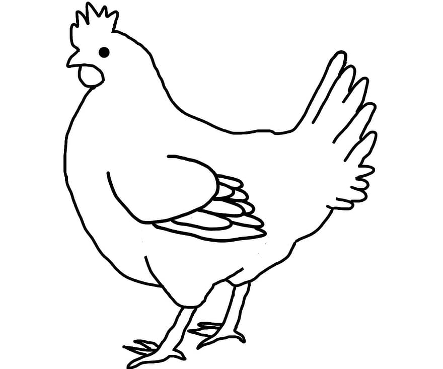 Farm, Animals, Chicken, Agriculture, Livestock, Hen, Rooster, Farming