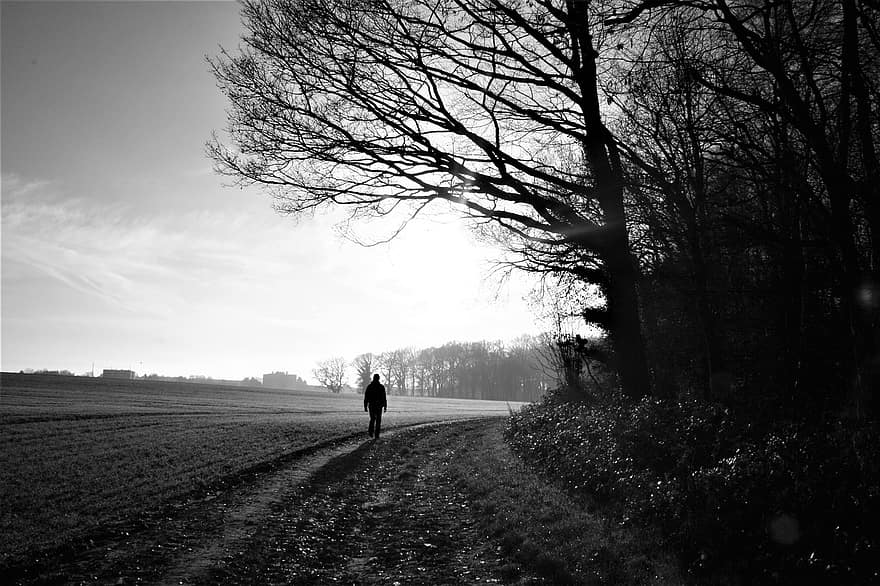 Man, Walking, Fields, Trees, Path, Trail, Arable Land, Farmland, Rural, Countryside, Alone