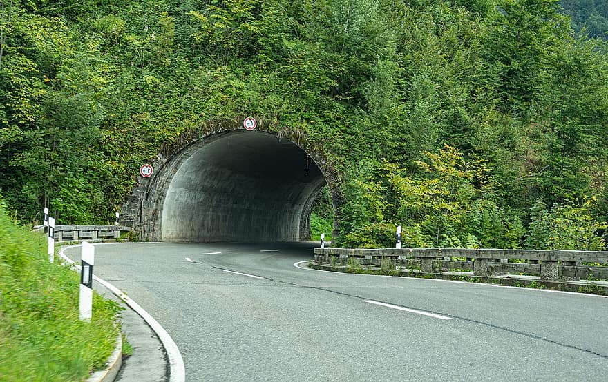 tunnel, väg, motorväg, sätt, bergen, träd, skog, landskap