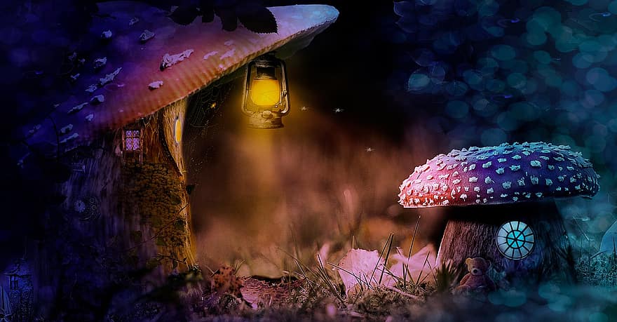 grzyby, lampa gazowa, Fantazja, bajka, opowiadania dla dzieci, muchomor, grzyb, ogród, magiczny, Miś, uroczy