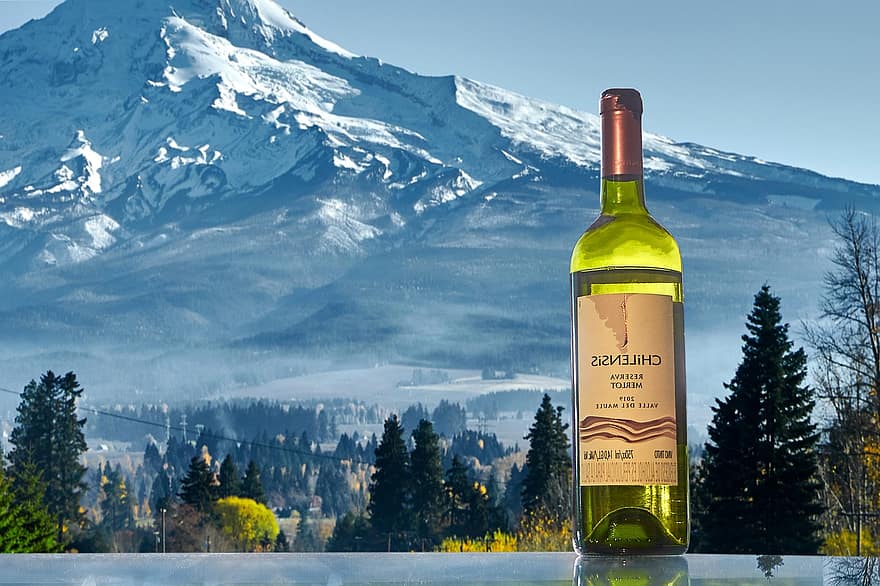 vynas, baltas vynas, Merlot, sniegas, žiemą, kalnas, Alpės