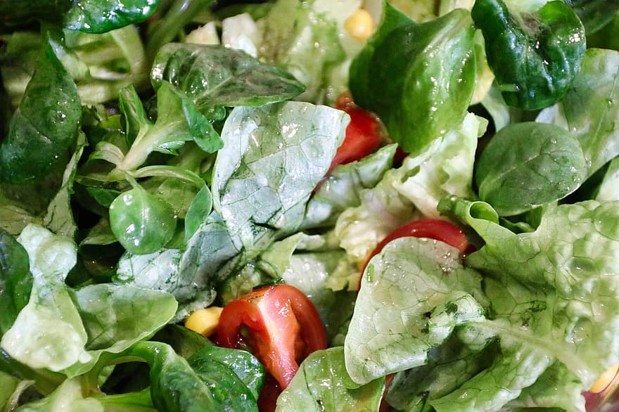 salade, tomates, en bonne santé, vitamines