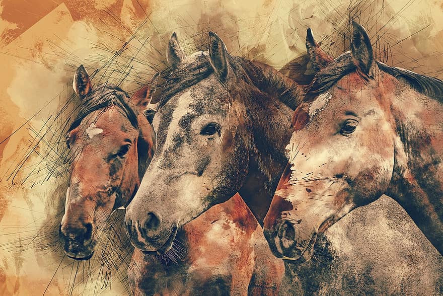 heste, hest hoved, dyr, pattedyr, natur, rytterstatue, indenlandske, portræt, gård, fuldblods, computer kunst