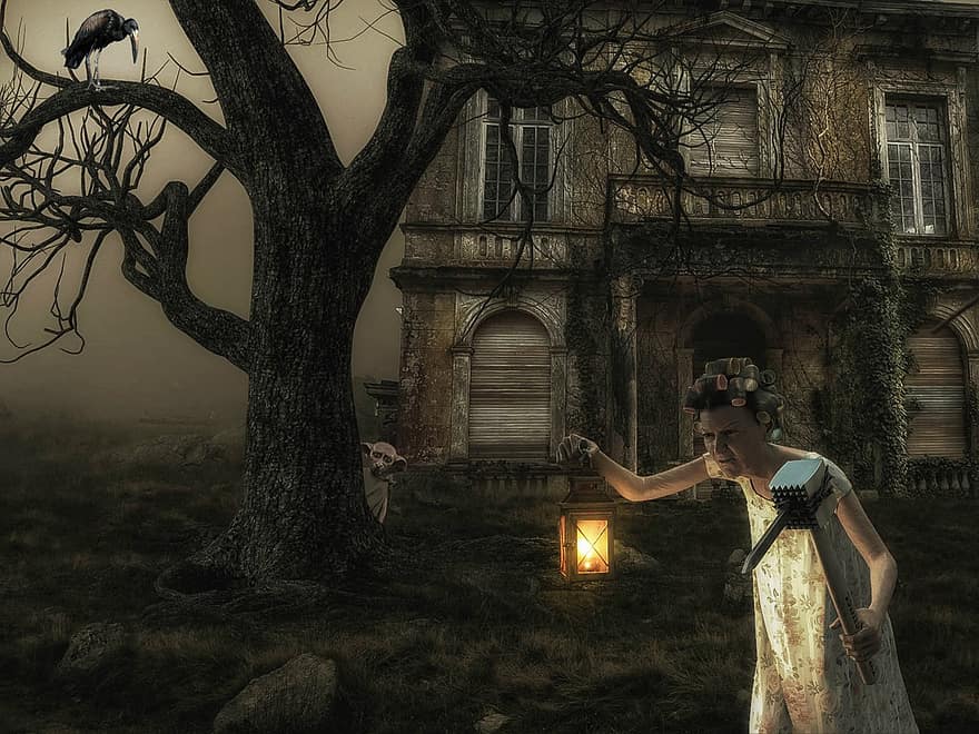 femme, maison, vieux, arbre, lanterne, brouillard, sombre, mystérieux