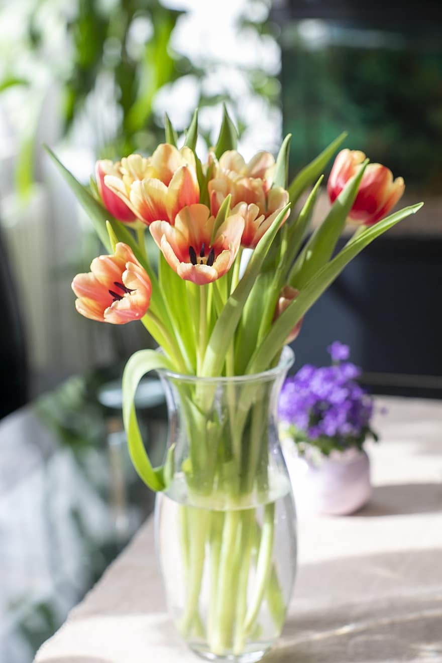 tulipány, květiny, květinová váza, okvětní lístky, Tulipán lístků, jarní květiny, květ, flóra, rostlina, váza, tulipán