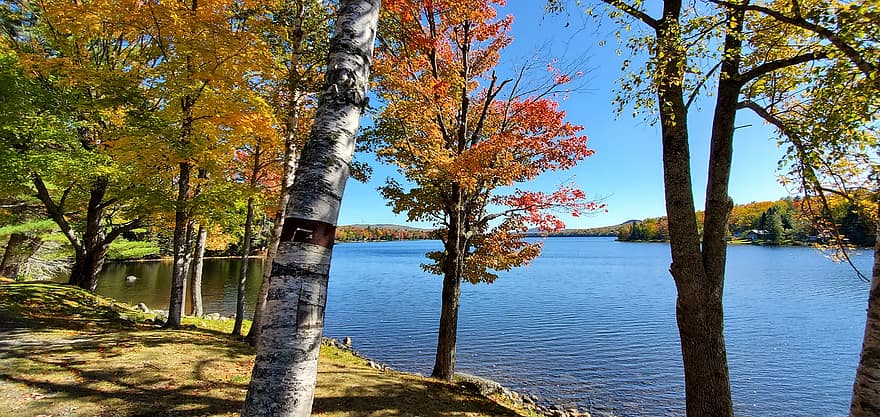 езеро, есен, парк, падане, Нова Англия, Мейн, на открито