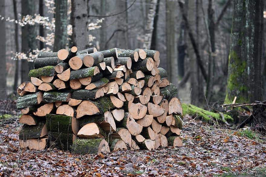 drewno, drewno kominkowe, stos, paliwo, buk, drzewo, las, woodpile, log, przemysł drzewny, drzewny