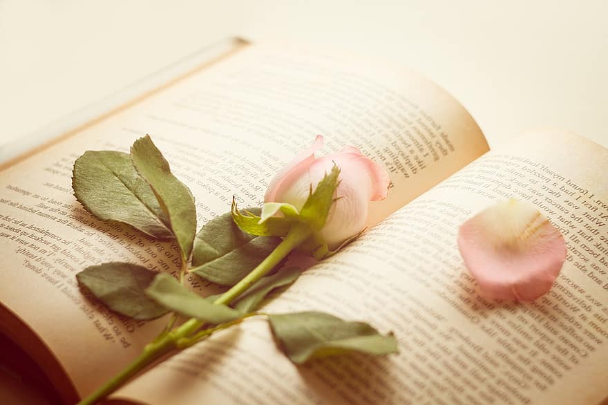 ama i libri, rosa, libro, romantico, nozze