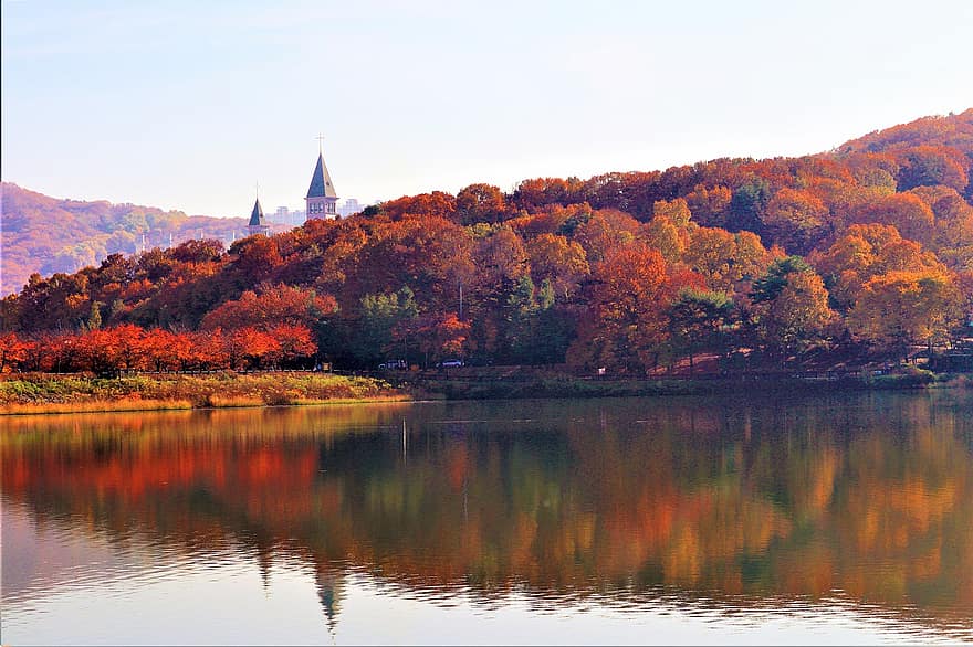 naturaleza, otoño, temporada, al aire libre, viaje, exploración, parque yuldong
