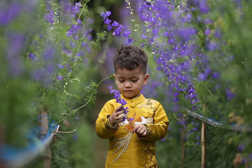 chlapec, dítě, mladý, hraní, květiny, pole, dětství, venku, hrát si, zábava, šťastný