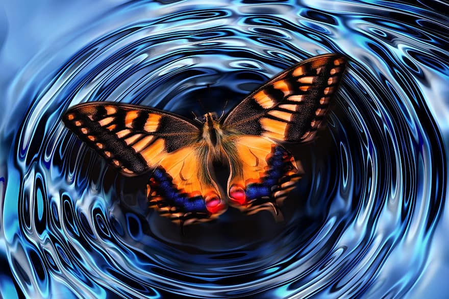 fluture, val, aripă bătut, haos, Teoria haosului, efect, efectul fluture, schimbarea climei, influență, dinamică, interacţiune