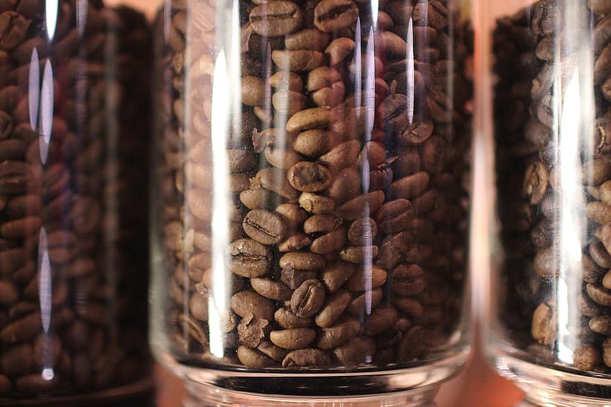 Grain de café en pot, arabica, robusta, café, caféine, arôme, boisson, grain de café, cappuccino, tasse, marron